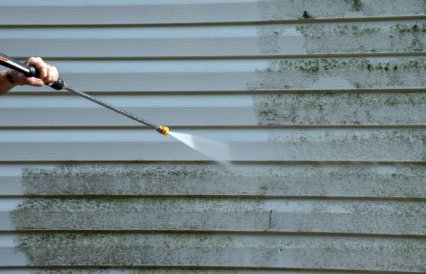 Trusted Olivia, MN Pressure Washing Services Experts